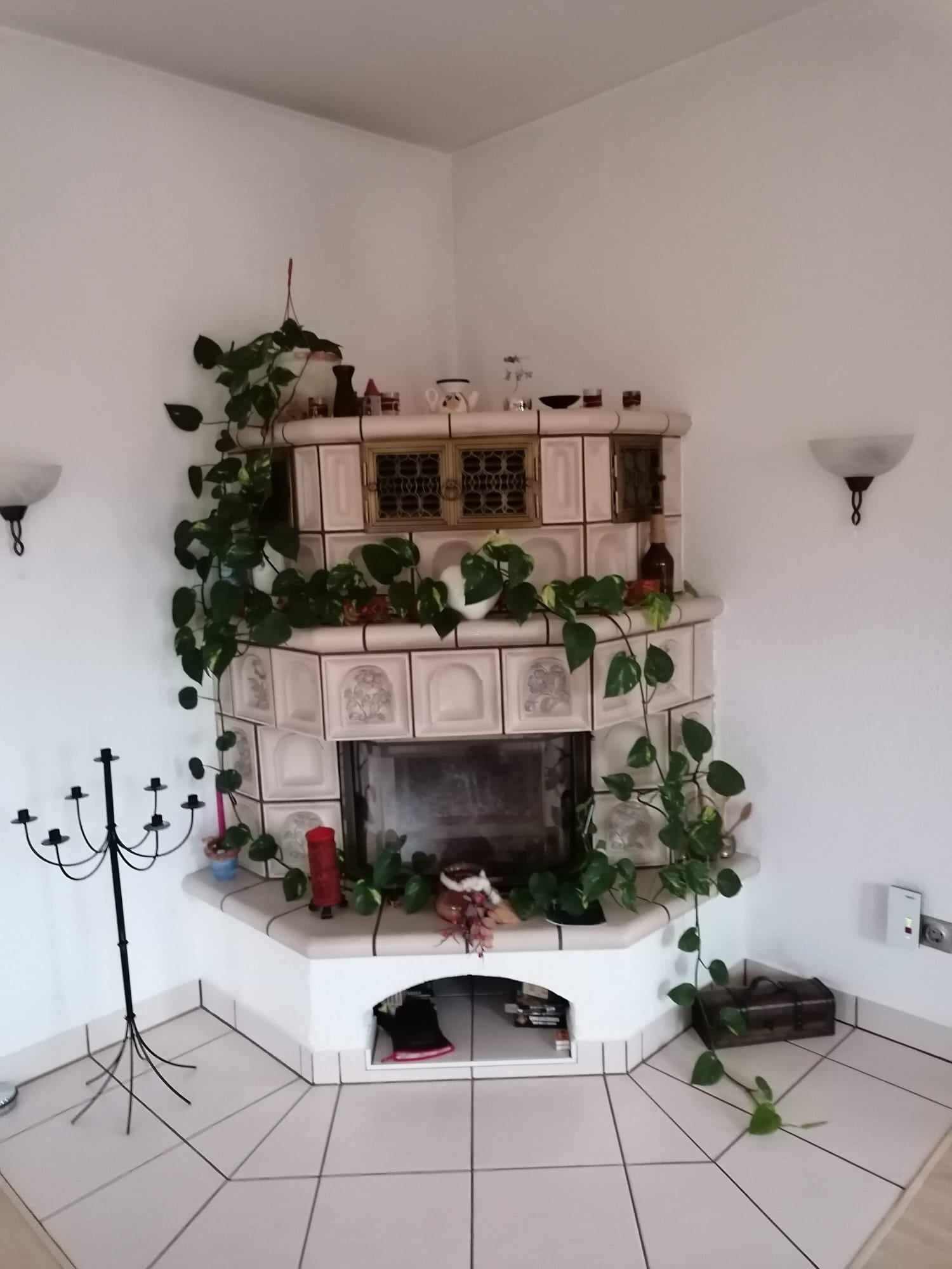 Kamin im Wohnzimmer EG