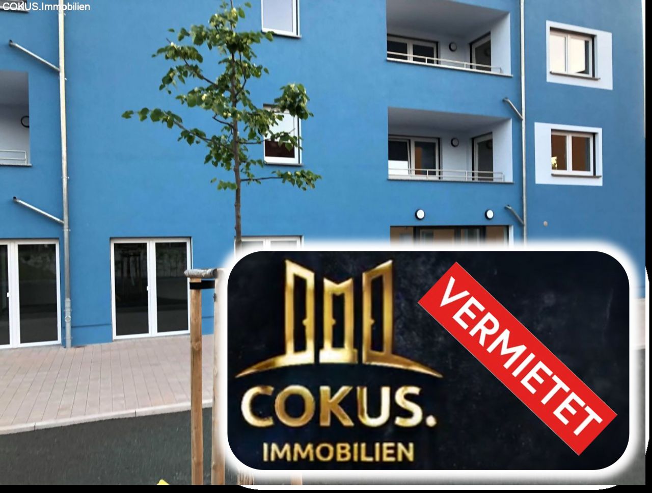 2 Raum Penthouse Steinbach Hallenberg - Fahrstuhl, Küche, Terrasse- Erstbezug barrierefreie 2 Raum Penthouse Steinbach Hallenberg - Fahrstuhl, Küche, Terrasse- Erstbezug barrierefreie